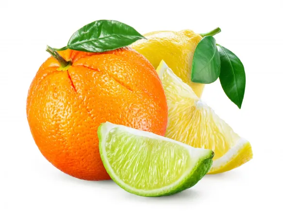 Essential Oils Citrus Oil 1 29shutterstock_583371391