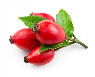 Essential Oils Rosehip Oil 1 30shutterstock_403335724