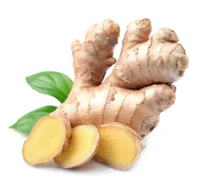 Ginger Root Extract