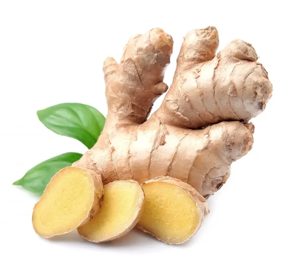 Extract Ginger Root Extract 1 43shutterstock_374061532