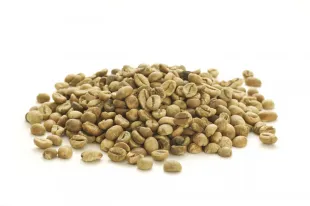 Extract Green Coffee Bean Extract 1 44shutterstock_123828256