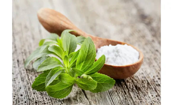 Ingredient Stevia  1 stevia